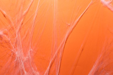 Creepy white cobweb hanging on orange background