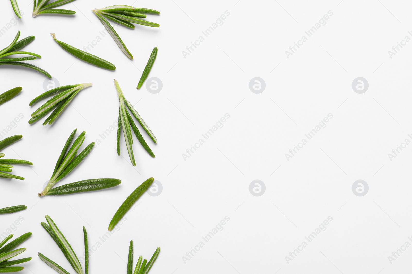 Photo of Sprigs of fresh rosemary on white background, flat lay. Space for text