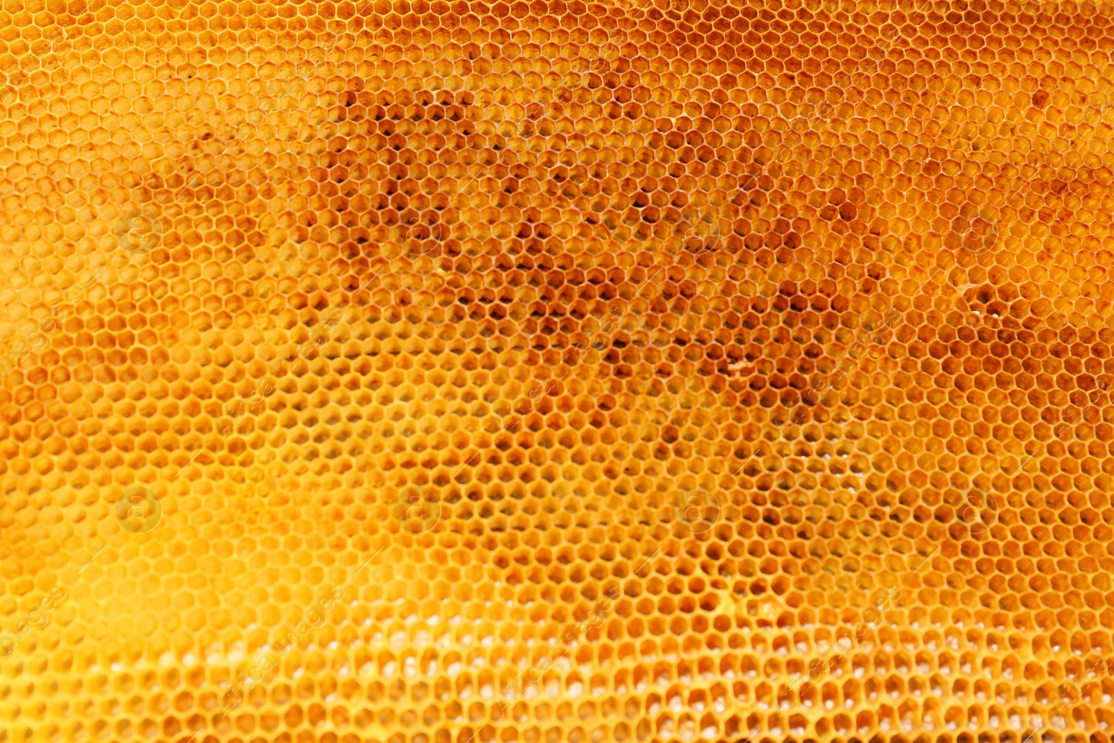 Photo of Uncapped filled honeycomb as background, above view