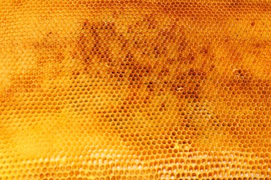 Photo of Uncapped filled honeycomb as background, above view