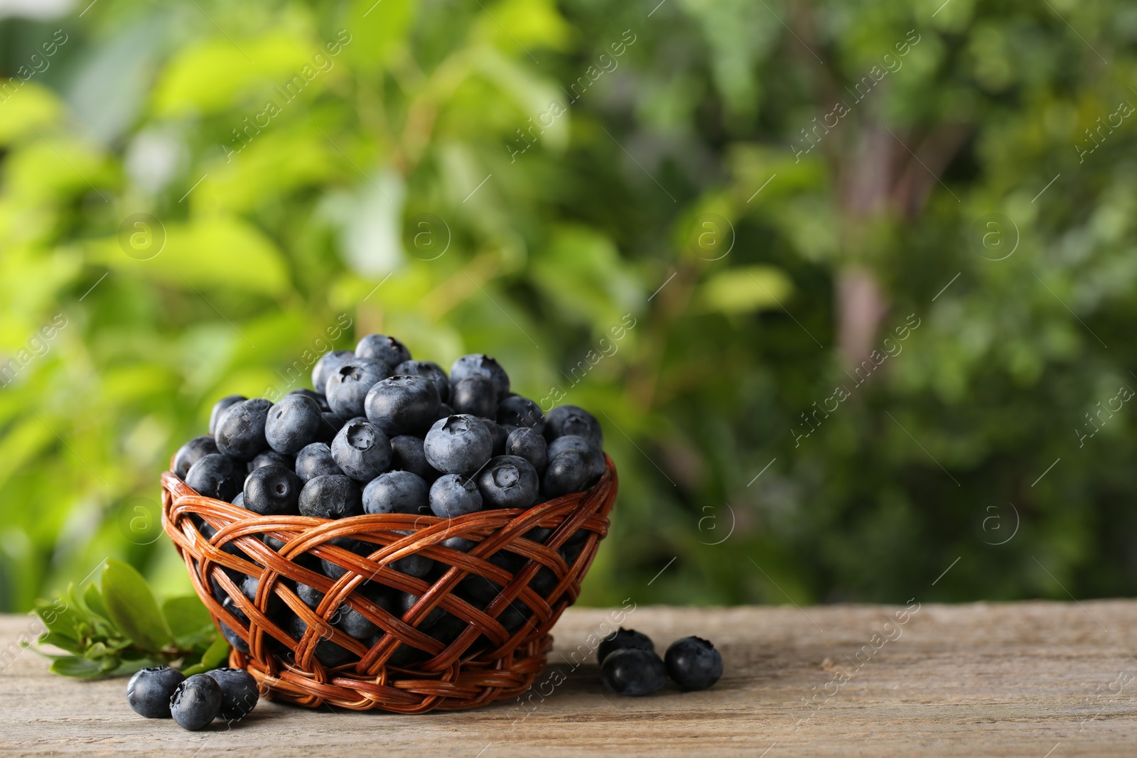 Photo of Tasty fresh blueberries and green leaves on wooden table outdoors, space for text