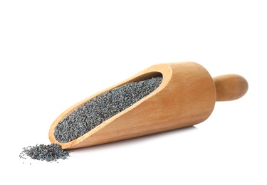 Poppy seeds and wooden scoop on white background