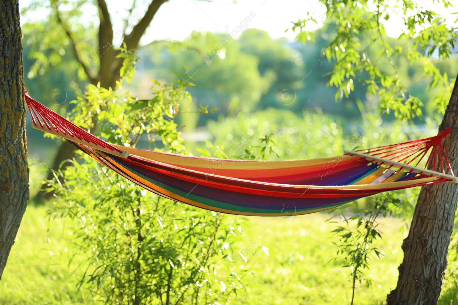 Photo of Empty hammock outdoors on sunny day. Summer camp