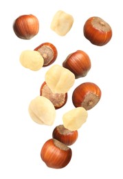Tasty hazelnuts falling on white background. Healthy snack