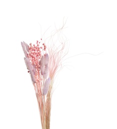 Photo of Bouquet of dried flowers on white background