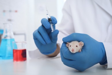 Photo of Scientist with syringe and rat in chemical laboratory, closeup. Animal testing