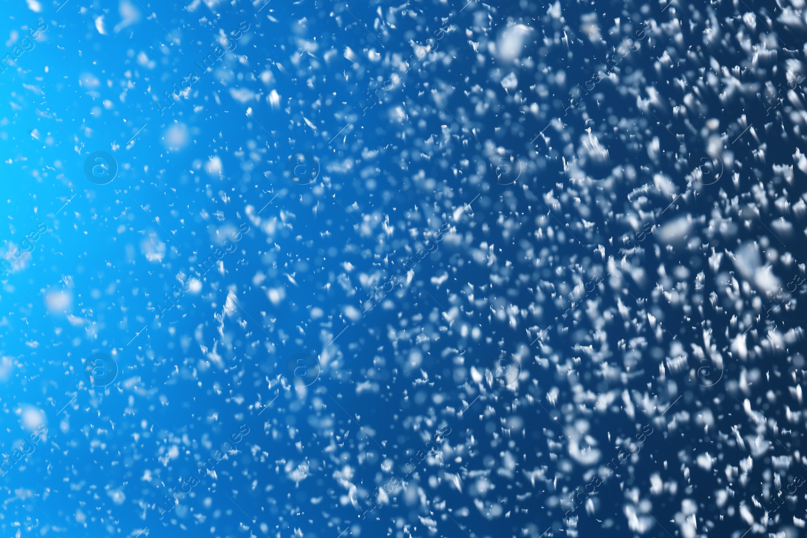 Photo of Snow flakes falling on blue background. Winter weather