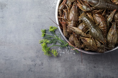 Photo of Fresh raw crayfishes and dill on grey table, flat lay. Space for text