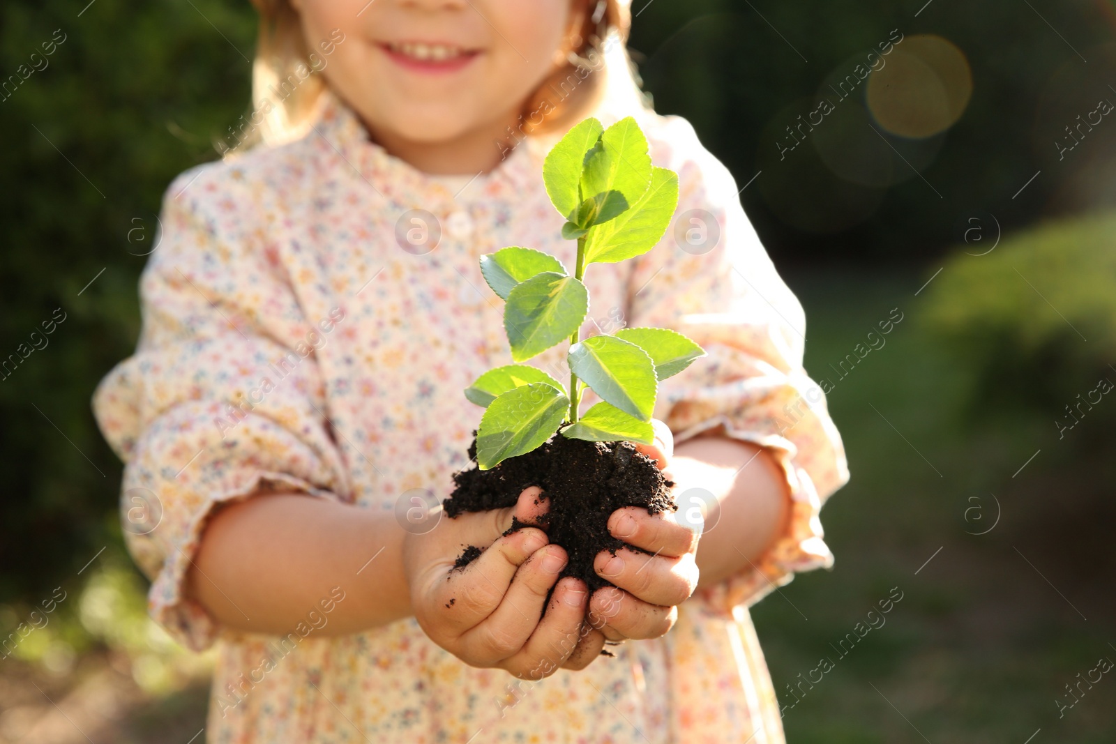 Photo of Little girl holding tree seedling outdoors, closeup