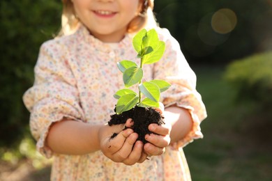 Little girl holding tree seedling outdoors, closeup