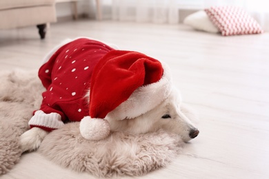 Photo of Cute dog in warm sweater and Christmas hat on floor at home