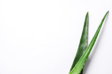 Photo of Green aloe vera leaves on white background, top view. Space for text