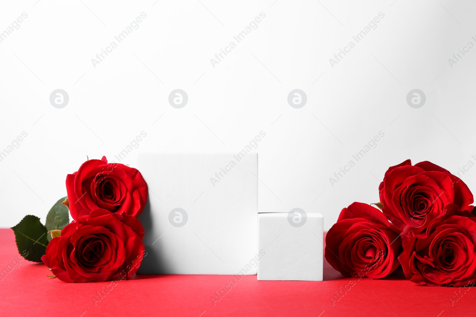 Photo of Stylish presentation for product. Beautiful roses and cubes on red table against white background