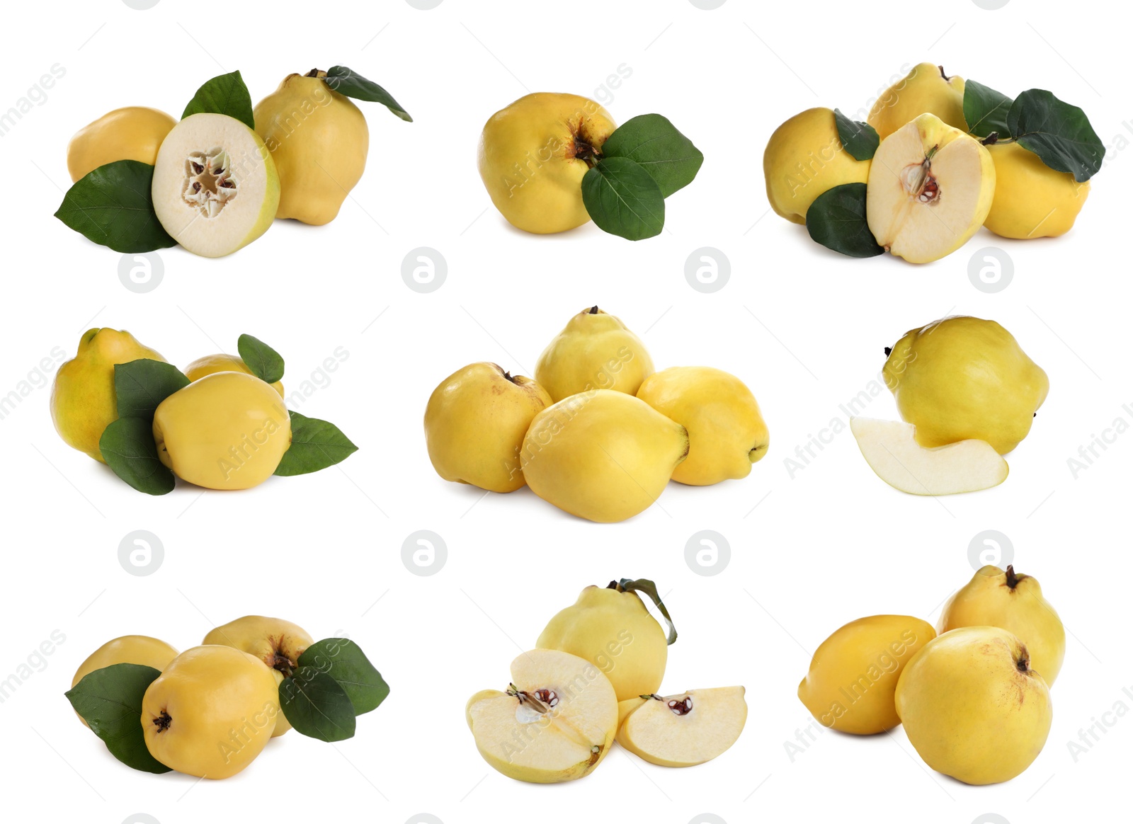 Image of Set of delicious ripe quinces on white background