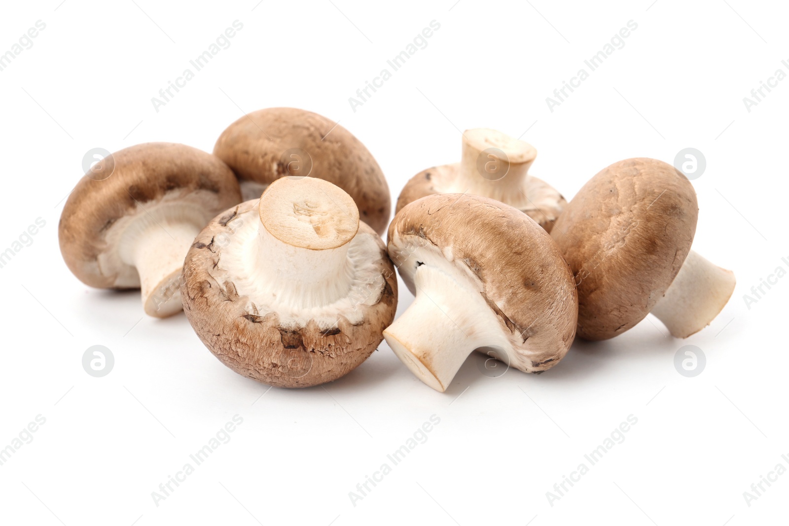 Photo of Fresh raw champignon mushrooms on white background