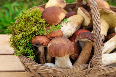 Wicker basket with fresh wild mushrooms on wooden table outdoors, closeup