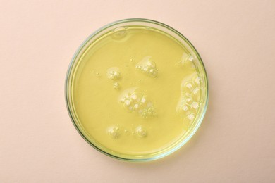 Photo of Petri dish with color liquid sample on beige background, top view