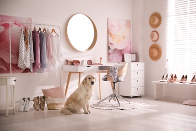 Photo of Adorable Golden Retriever dog in stylish dressing room