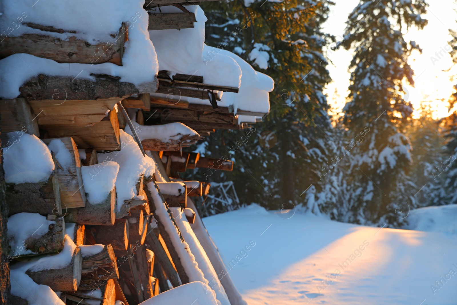 Photo of Stack of firewood covered with snow outdoors on sunny day