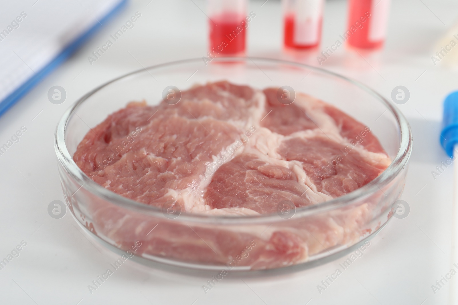 Photo of Petri dish with piece of raw cultured meat on white table in laboratory, closeup