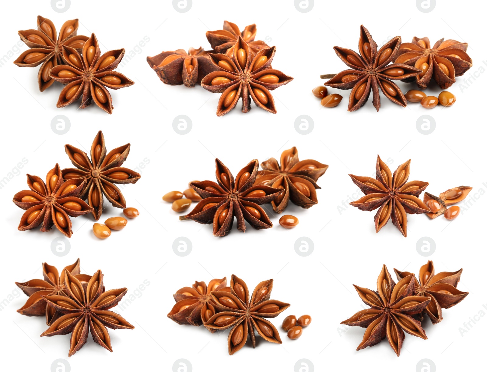 Image of Set with dry anise anise stars on white background