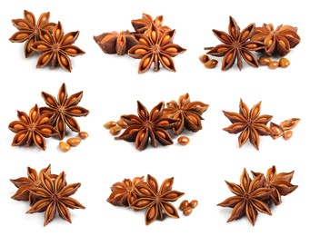 Set with dry anise anise stars on white background