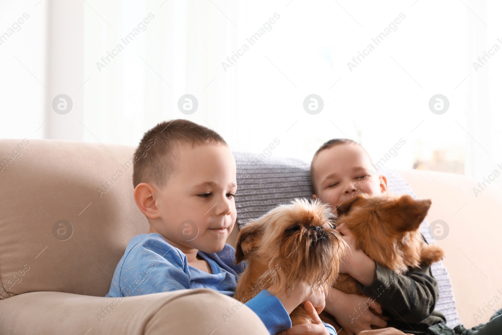 Photo of Portrait of cute boys with funny Brussels Griffon dogs at home. Loyal friends