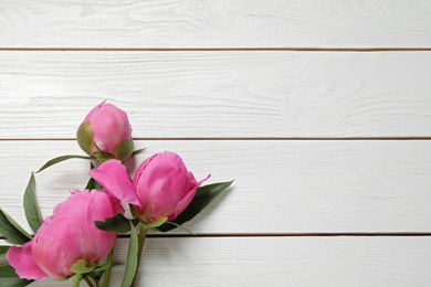 Beautiful pink peonies on white wooden background, flat lay. Space for text