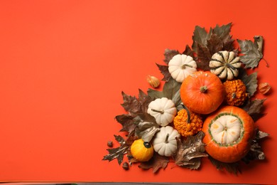 Photo of Flat lay composition with different ripe pumpkins on red background. Space for text