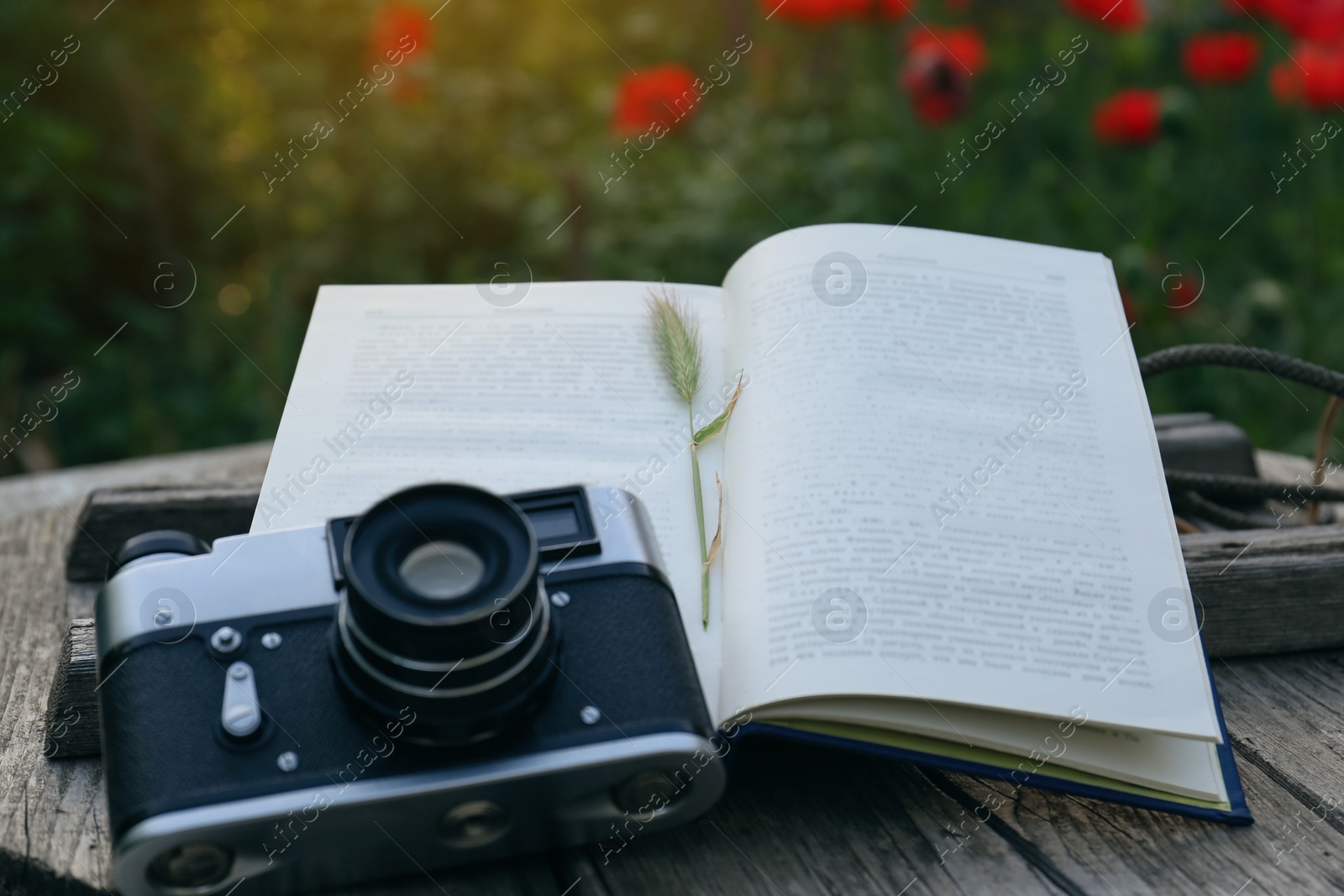 Photo of Open book with spike and vintage camera on wooden table outdoors, closeup
