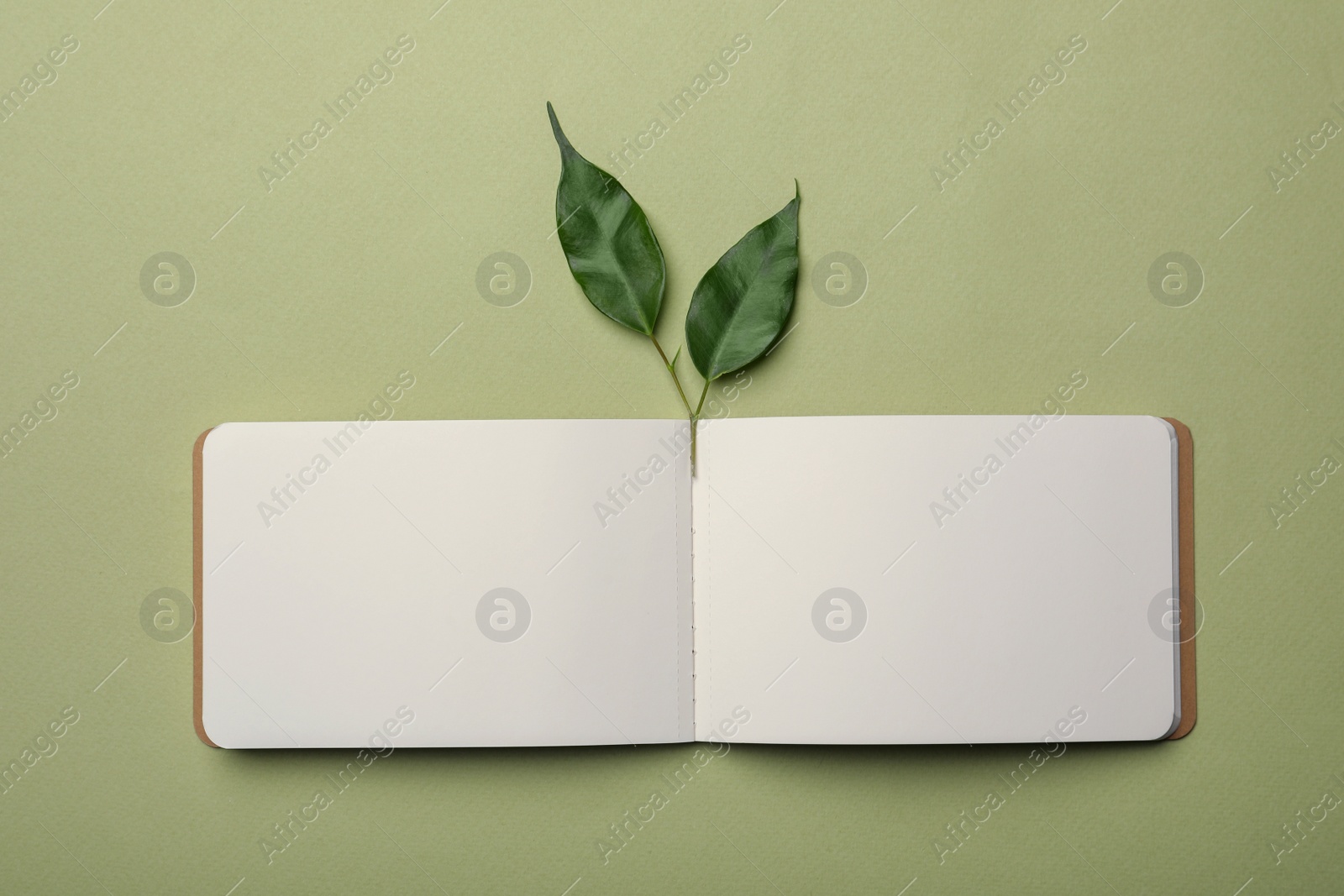 Photo of Open notebook and leaves on light green background, flat lay. Personal planning