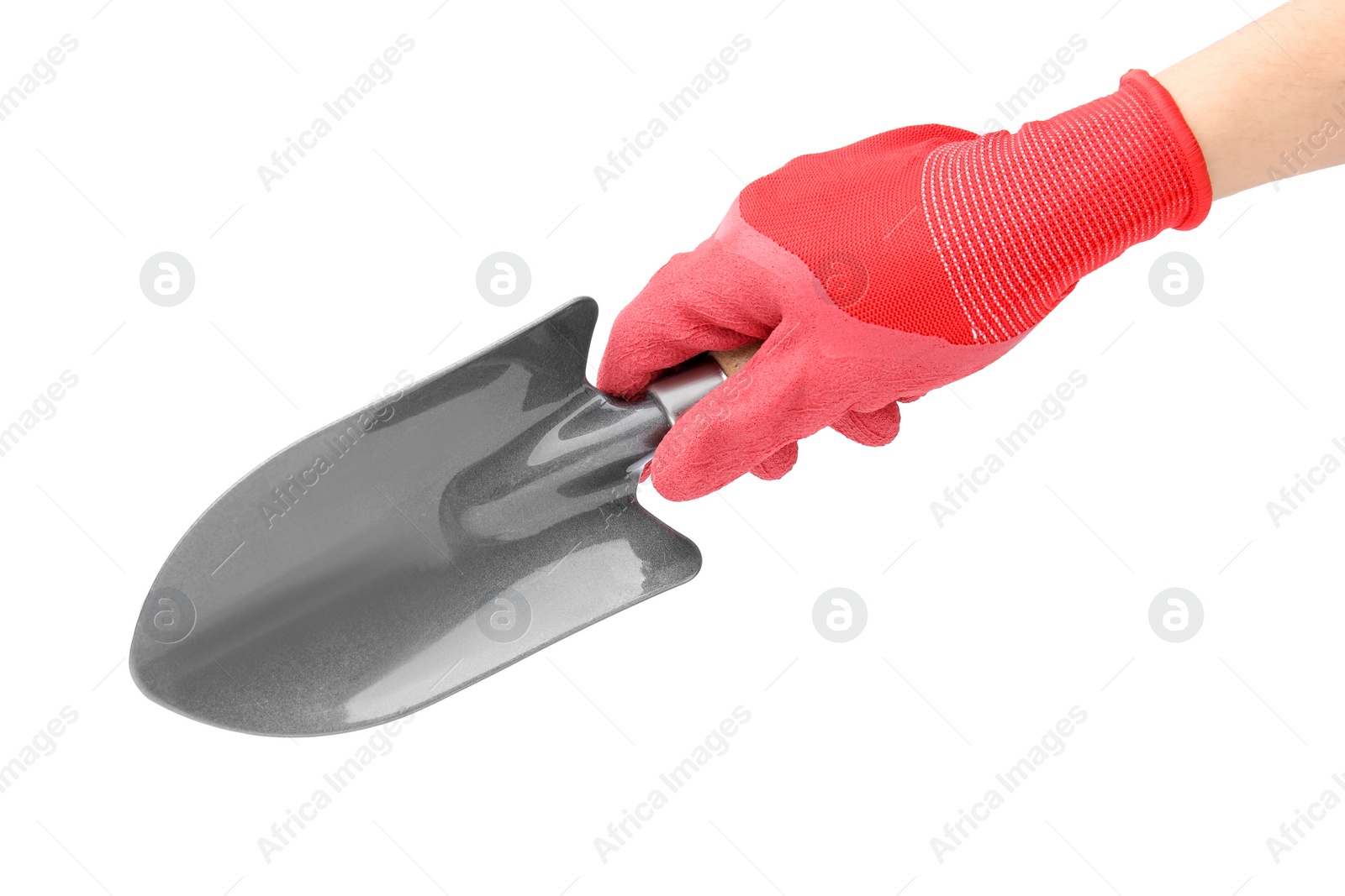 Photo of Woman in gardening glove holding trowel on white background, closeup