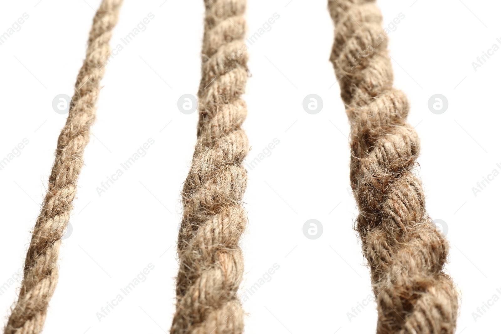 Photo of Set of hemp ropes on white background, closeup