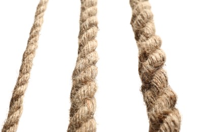 Photo of Set of hemp ropes on white background, closeup