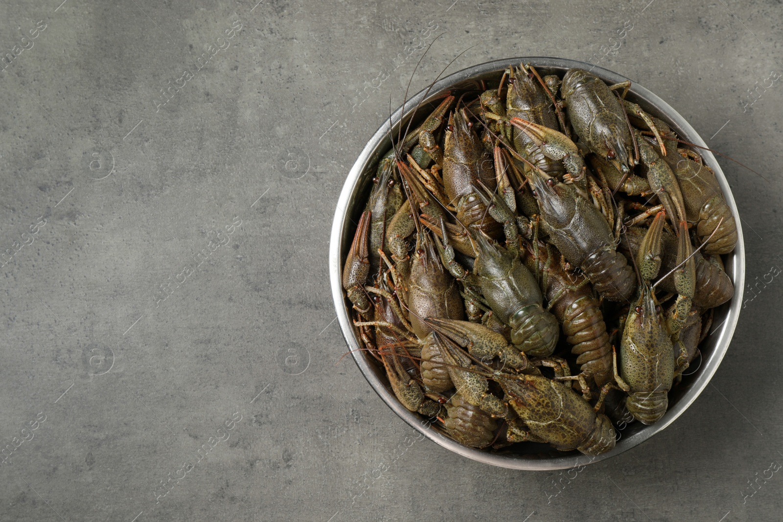 Photo of Fresh raw crayfishes on grey table, top view. Space for text