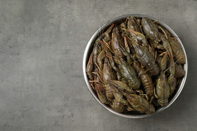 Fresh raw crayfishes on grey table, top view. Space for text
