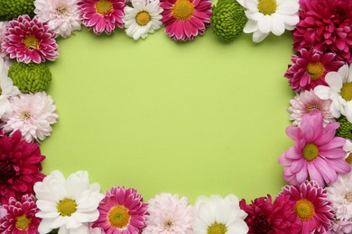 Frame made of beautiful chrysanthemum flowers on green background, flat lay. Space for text