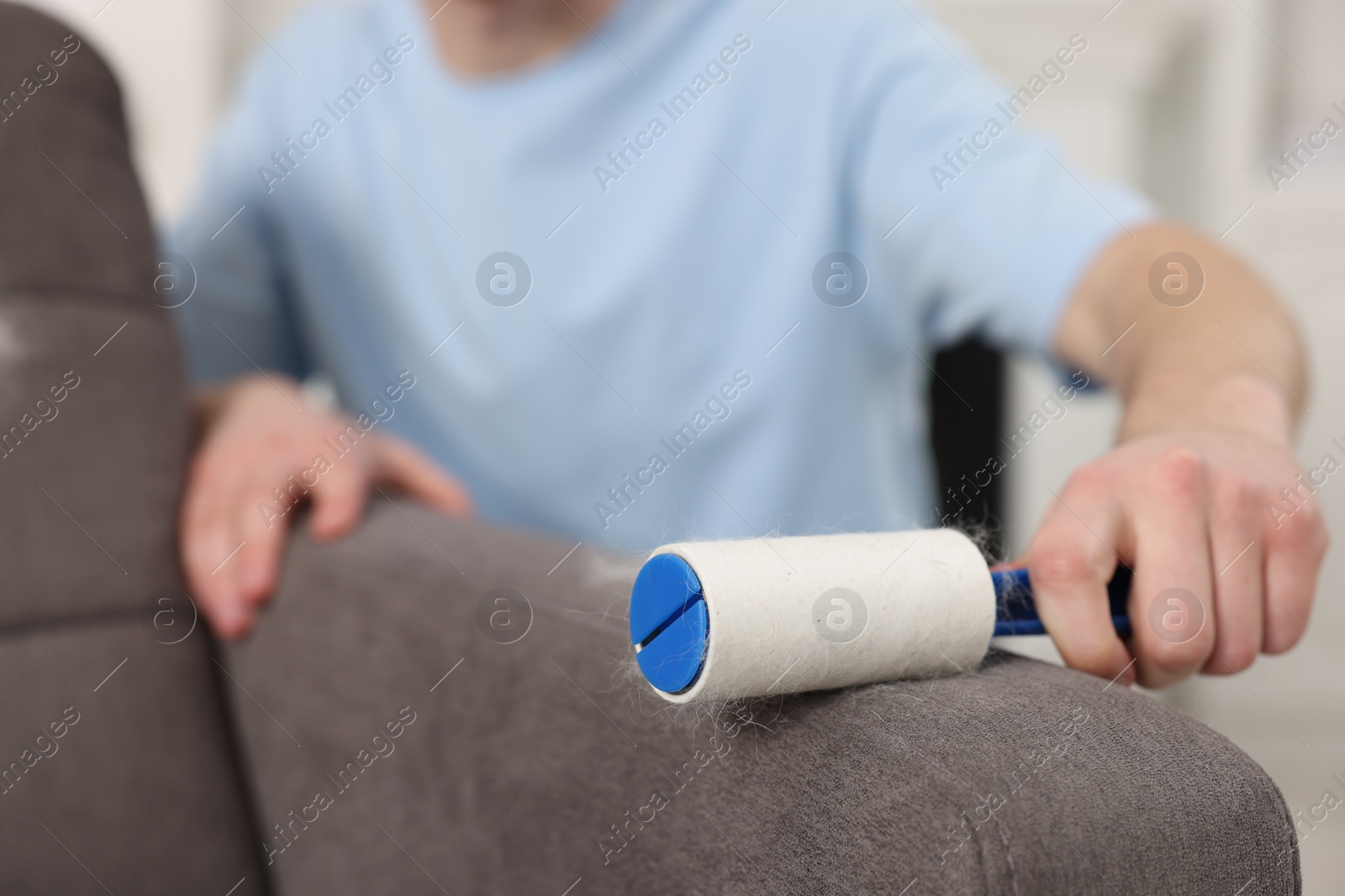 Photo of Pet shedding. Man with lint roller removing dog's hair from armchair at home, closeup