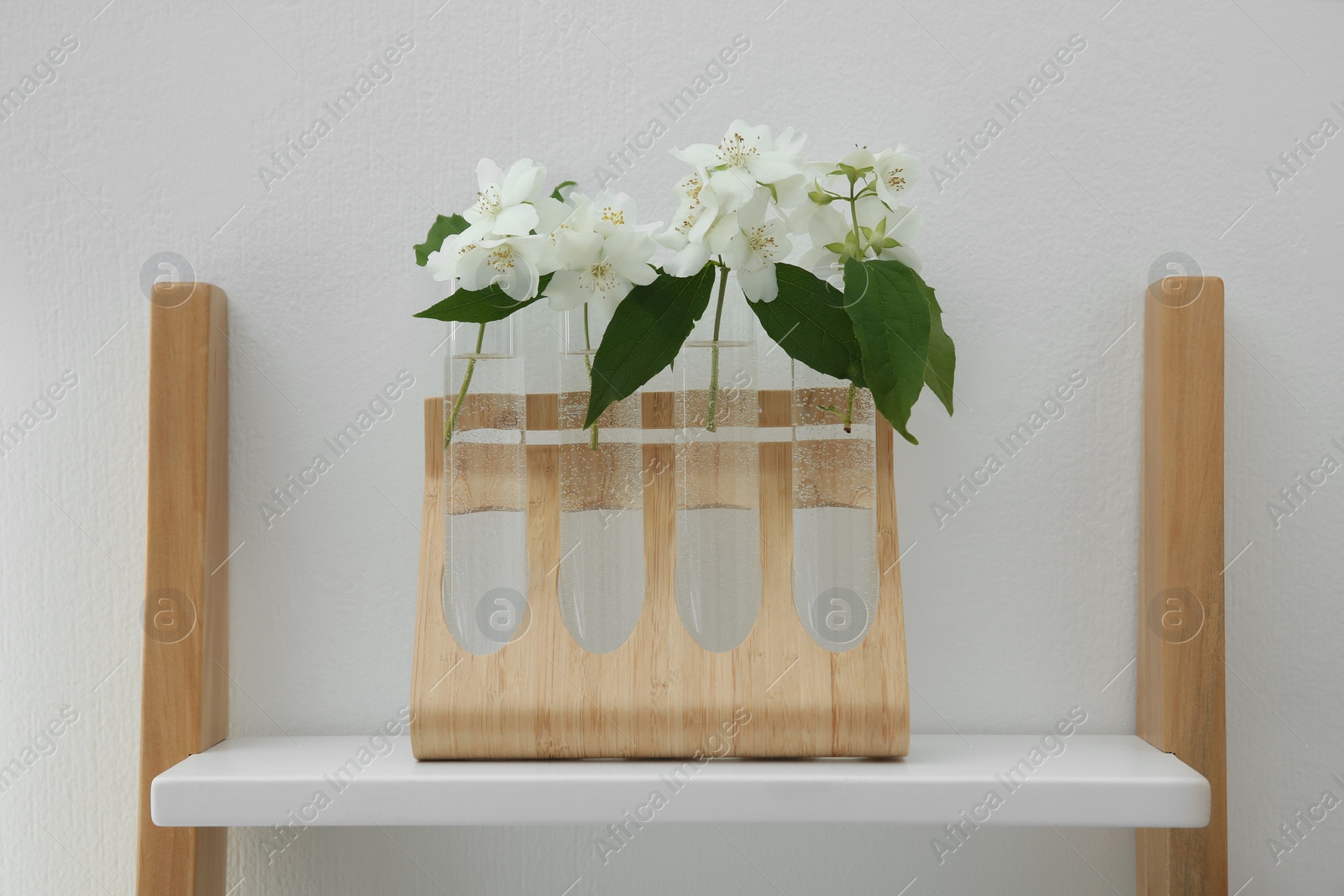 Photo of Beautiful jasmine flowers on shelving unit near light wall