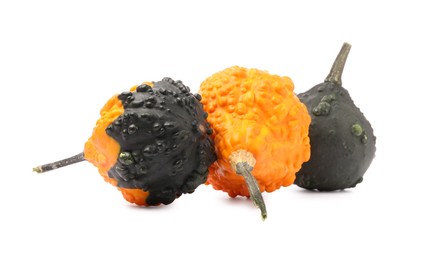 Photo of Different fresh ripe pumpkins isolated on white