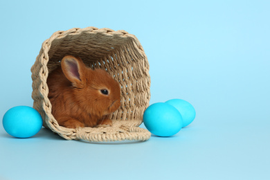 Photo of Adorable fluffy bunny in wicker basket and Easter eggs on light blue background