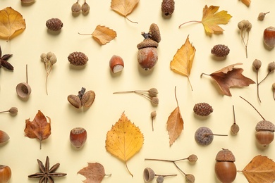 Photo of Beautiful composition with autumn leaves on beige background, flat lay