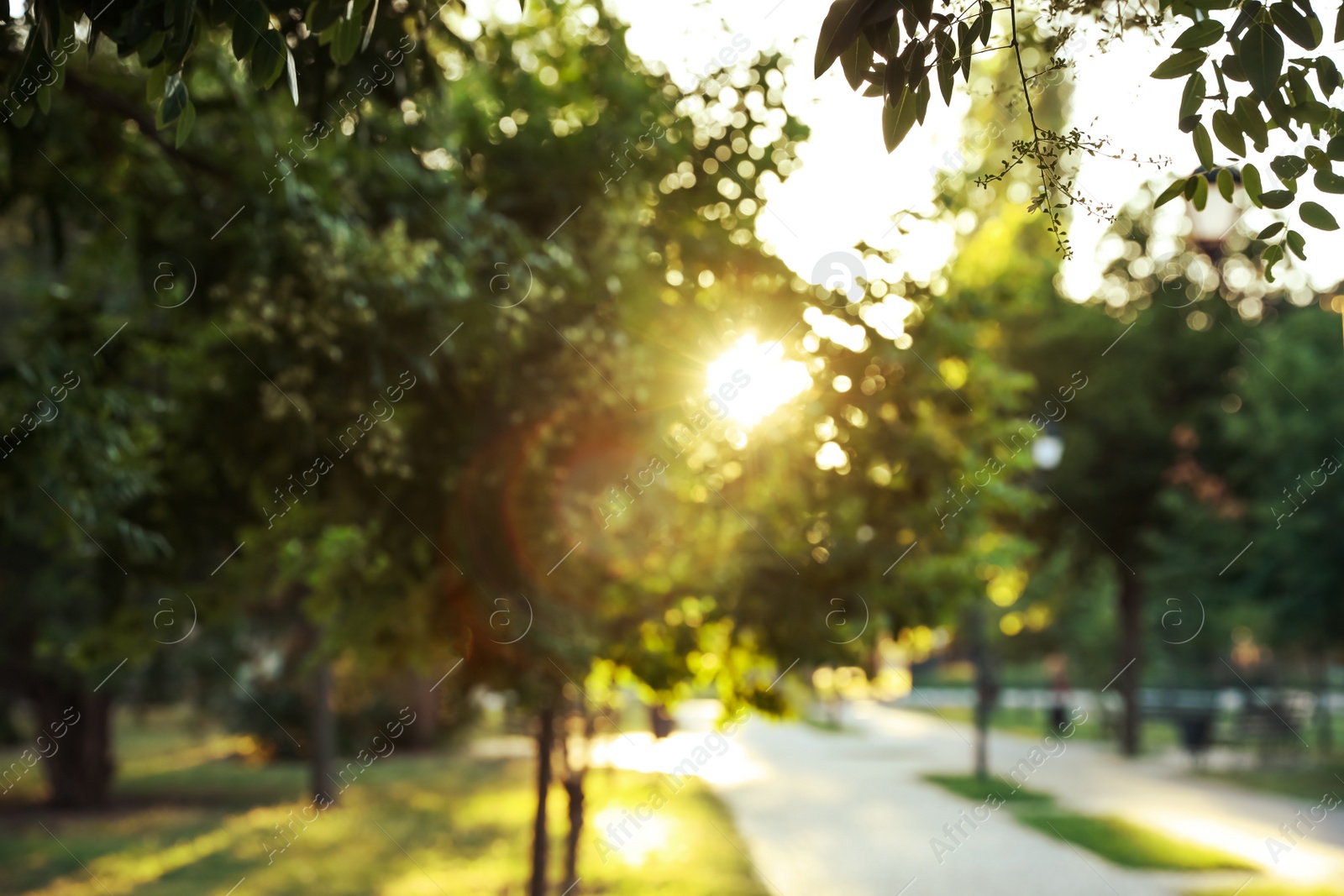 Photo of Blurred view of beautiful park in morning