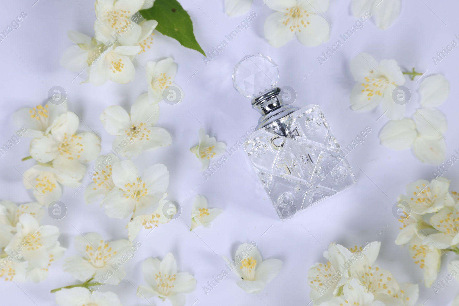 Photo of Aromatic perfume in bottle and beautiful jasmine flowers on white background, flat lay