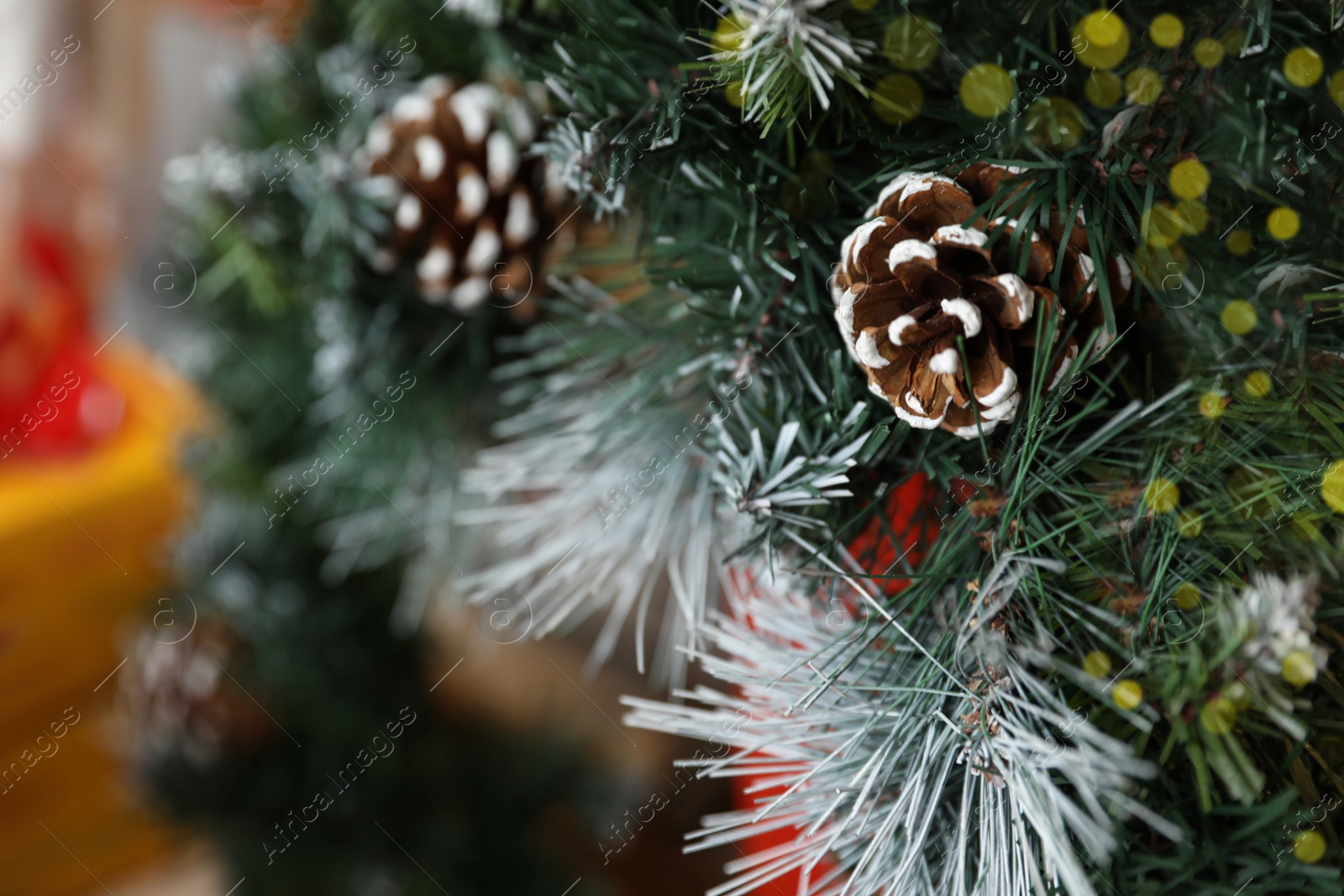 Photo of Fir tree branches with cones, closeup view. Christmas decor