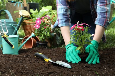 Woman transplanting beautiful pink vinca flower into soil in garden, closeup. Space for text