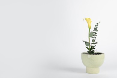 Photo of Stylish ikebana as house decor. Beautiful fresh calla flower and eucalyptus branch on white background, space for text