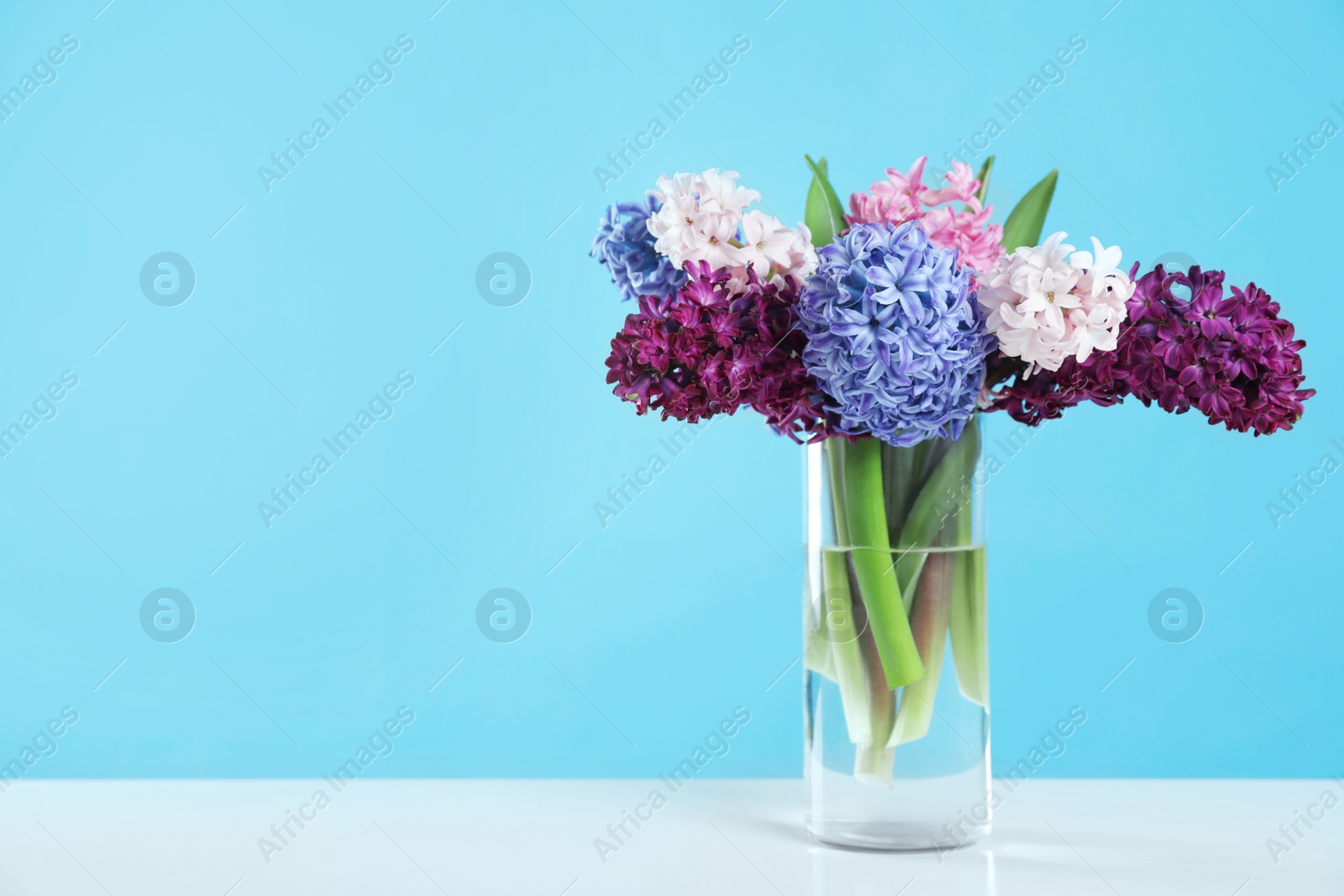 Photo of Beautiful hyacinths in glass vase on table against color background, space for text. Spring flowers