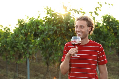 Young handsome man enjoying wine at vineyard