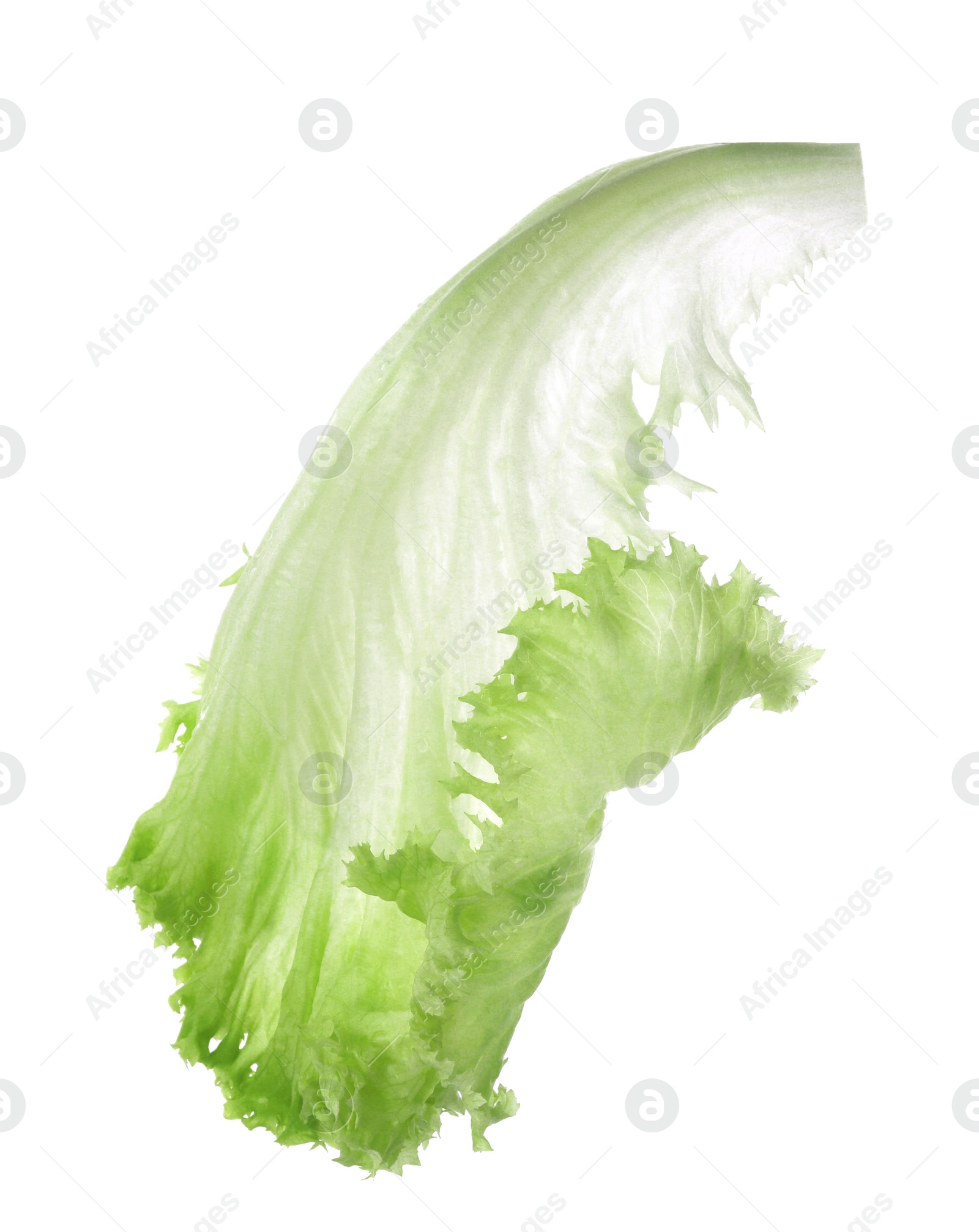 Photo of Fresh green lettuce leaf isolated on white